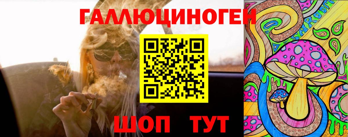 Псилоцибиновые грибы Cubensis Анапа